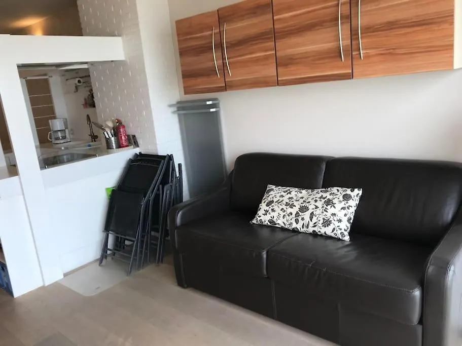 Studio Met Zeezicht En Zwembad En Parking ミデルケルケ